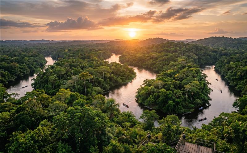 Amazon Rainforest